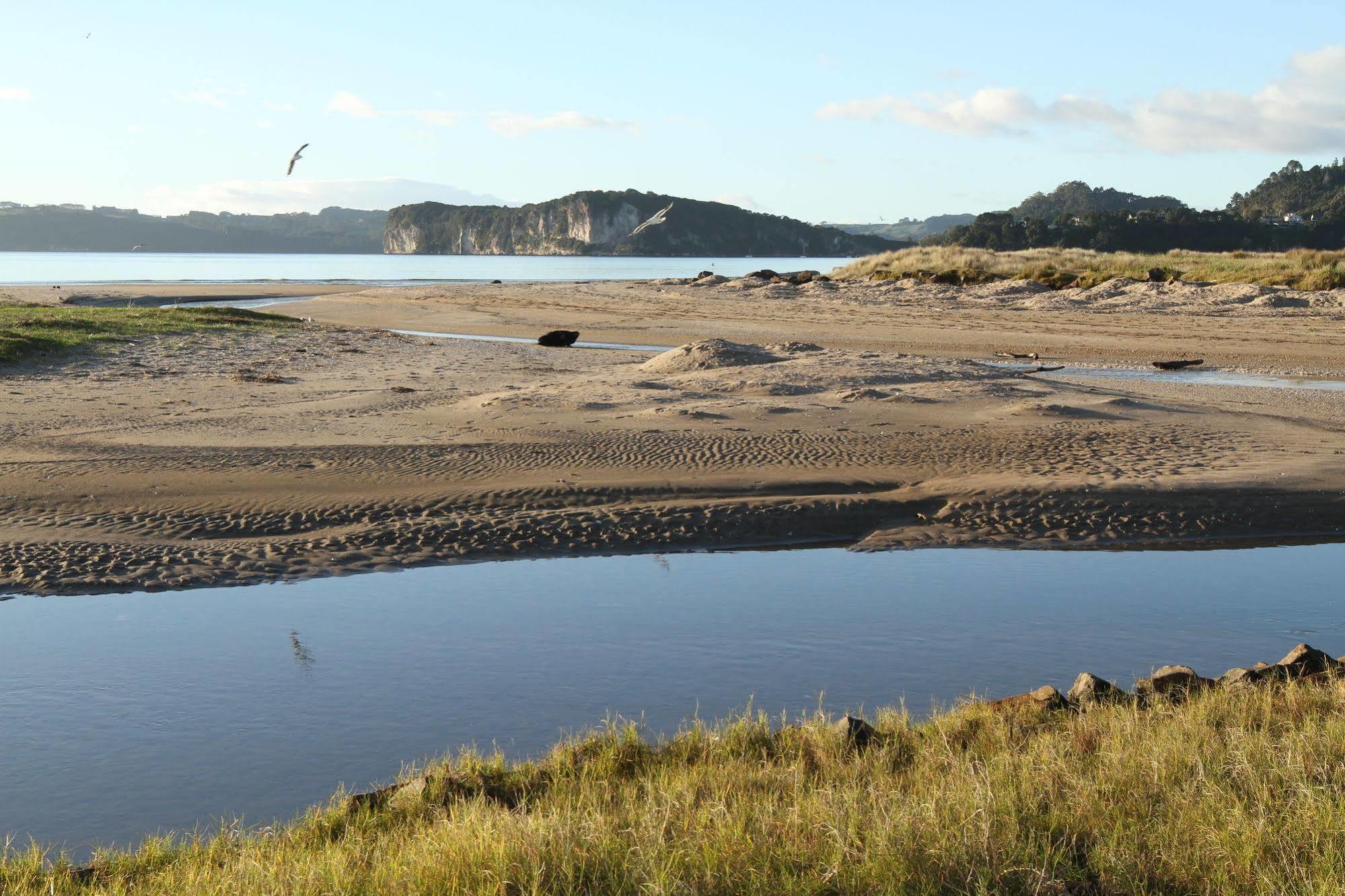 Admiralty Lodge Motel Whitianga Kültér fotó