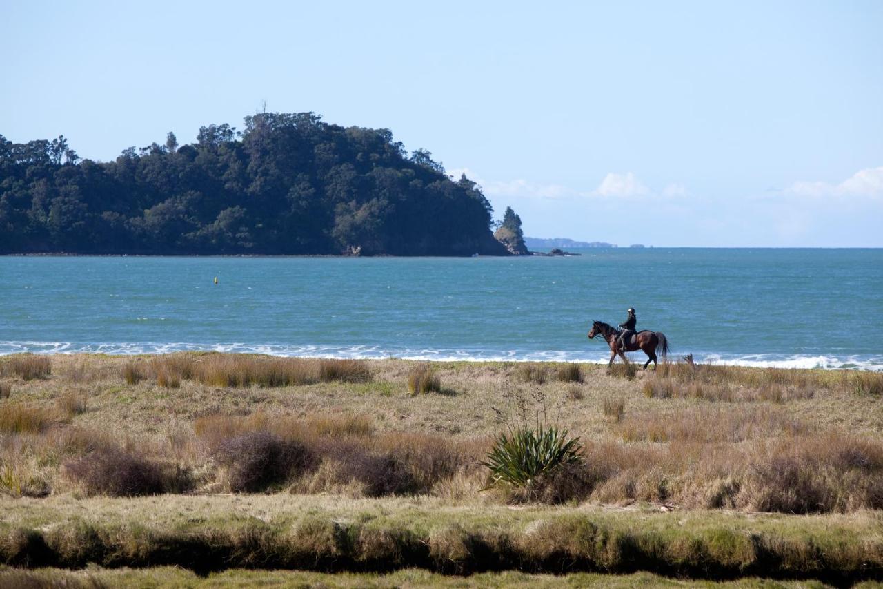 Admiralty Lodge Motel Whitianga Kültér fotó